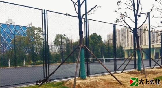 烽胜公园西侧唯一的体育场地，室外网球场