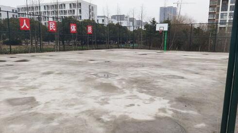 篮球场基础