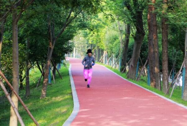 在塑胶绿道上跑步