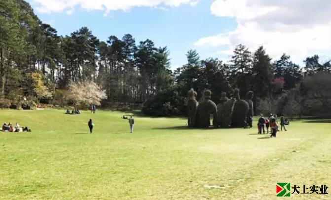  杜克大学花园草坪中的大型雕塑